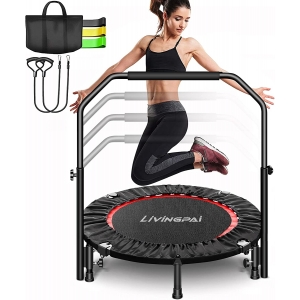 Livingpai sulankstomas fitneso batutas 102cm/200kg